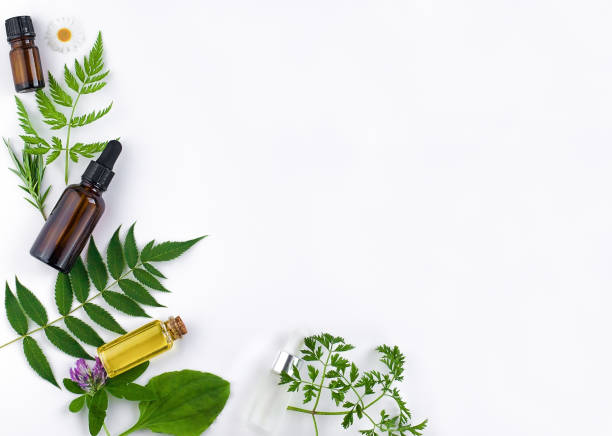 istock Natural ingredients for organic cosmetics frame 1342817504