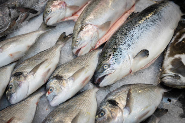 Fresh fish at market stock photo