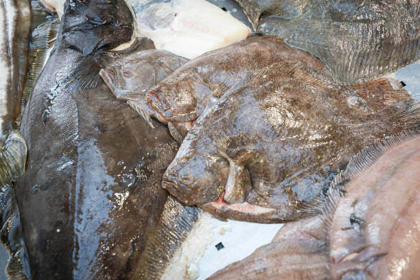 Fresh fish at market stock photo