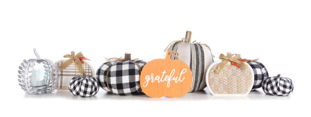 Modern farmhouse thanksgiving decor border isolated on white