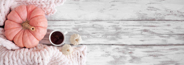 Cozy fall corner border on a rustic white wood banner background with blanket, spiced tea, pink and white pumpkins