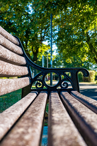 Wooden bench in autumn park
