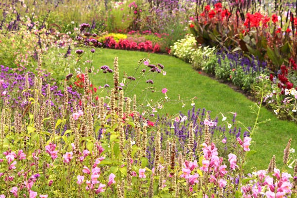 istock Garden path through the beautiful flower garden 1342824315