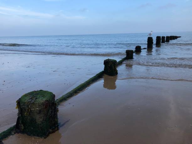 istock Sea groyne at Frinton 1342848997