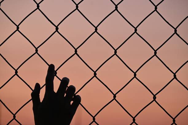 istock silhouette one human hand in fence 1342849351