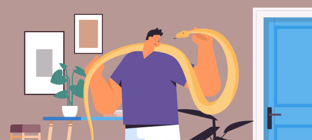 Python Snake With Man 290+ Snake Man Stock Illustrations, Royalty-Free Vector Graphics & Clip ...