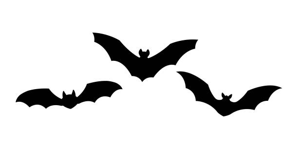 ilustrações de stock, clip art, desenhos animados e ícones de bat silhouette set. flying bats. halloween or vampire symbol. vector illustration. - bat cartoon halloween wing