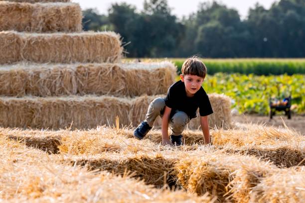 kleiner junge, der mit dem heuhaufen an einem kürbisbeet spielt - child jumping vegetable food stock-fotos und bilder