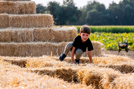 Little boy playing with the haystack at a pumpkin patch