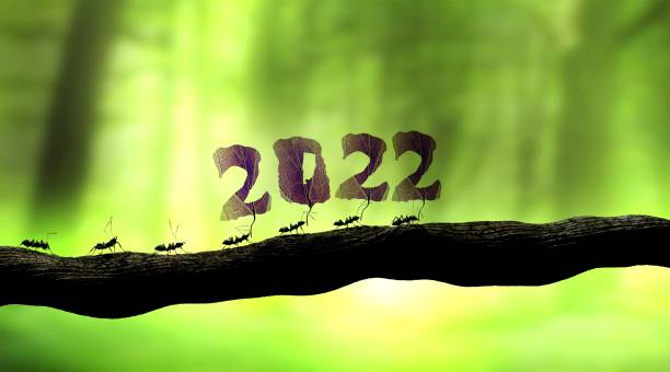 greeting card 2022 with ants