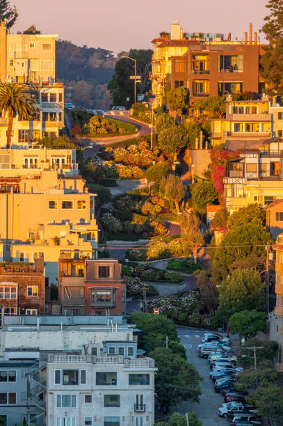 long distance view of lombard street in san francisco - lombard street city urban scene city life imagens e fotografias de stock