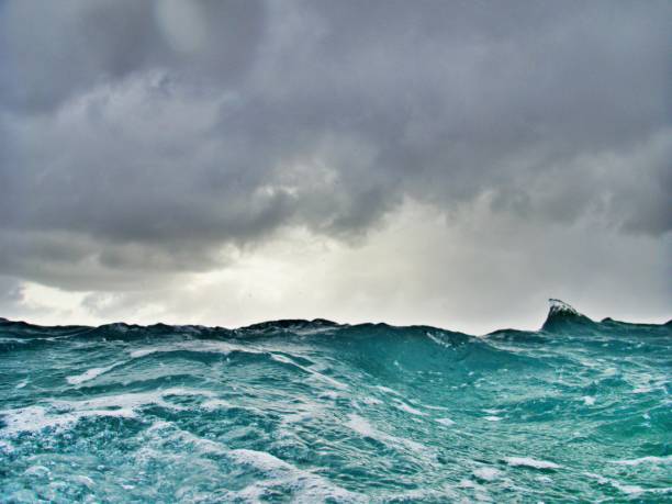 istock swimming on sea level 1342864466