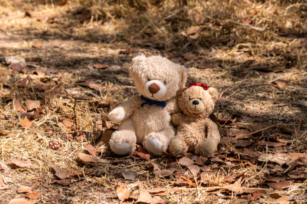 istock Two teddy bears sitting on dry leaves 1342887871