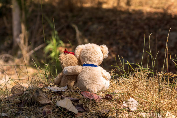 istock Two teddy bears sitting on autumn forest floor, back view 1342887927