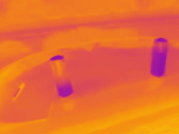 istock People at the fair. Real thermal camera image. 1342893268