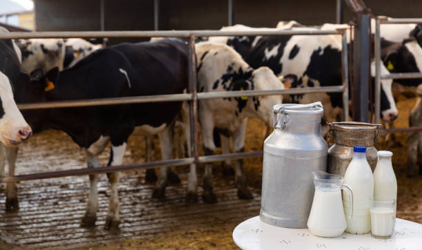 istock Composition of milk churns and bottles 1342898256