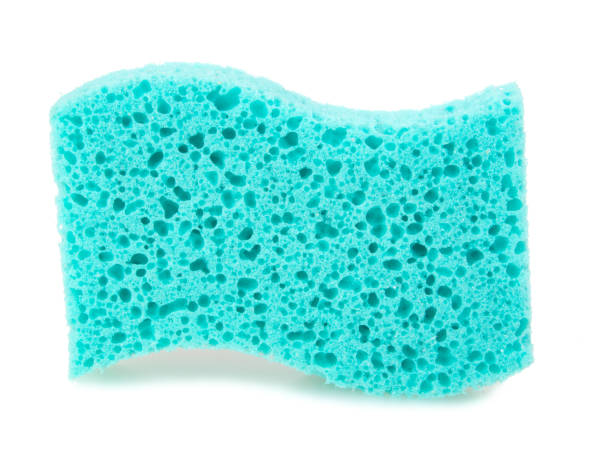 istock Blue sponge for shower wisp isolated on the white background 1342929951