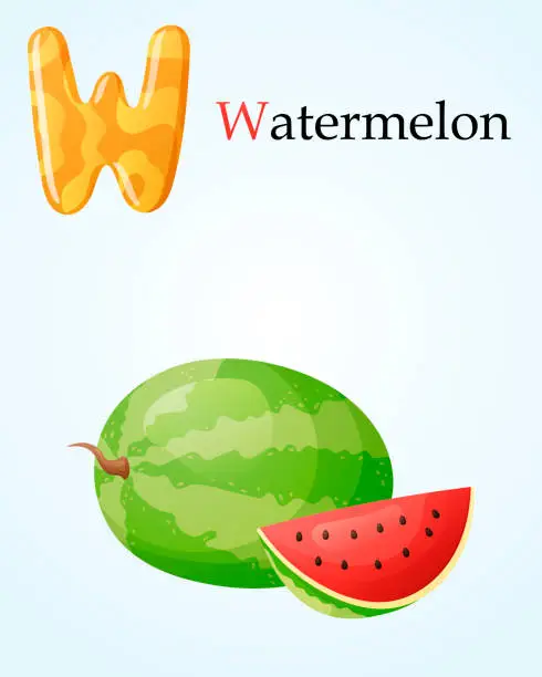 Vector illustration of Kids banner with english alphabet letter W and cartoon image of ripe juicy berry of watermelon.