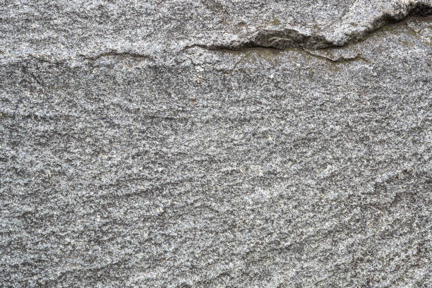istock Untreated natural texture of gray granite close-up. Abstract background, texture, pattern, wallpaper. 1342936340