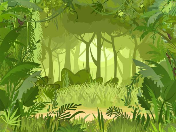 ilustraciones, imágenes clip art, dibujos animados e iconos de stock de claro arenoso. fondo selvático. plantas de selva tropical. hermoso paisaje verde con árboles exóticos y palmeras. lindo estilo de dibujos animados. vector. - glade