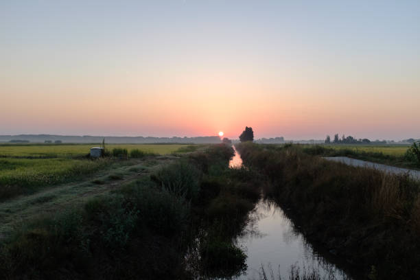 istock Sun rising on a green rice field landscape with stream water on a plain landscape 1342959148