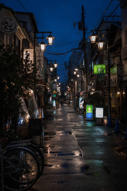 istock Tokyo in the Rain 1342959308