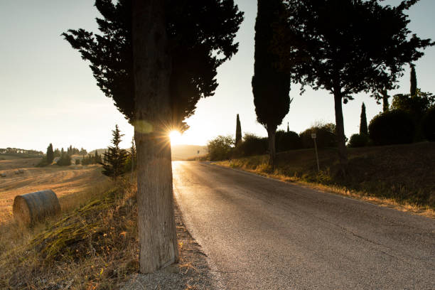 istock Empty Road in Val d'Orcia Tuscany 1342960098