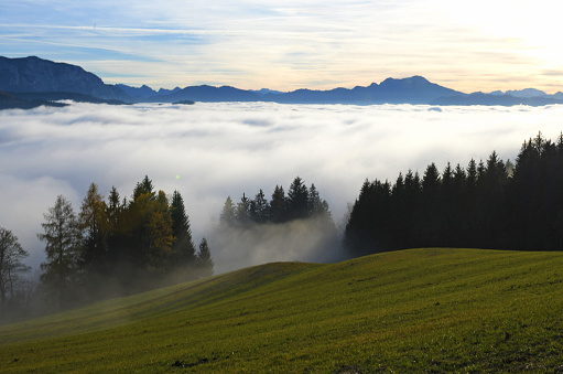 A blanket of fog in autumn on the Gahberg am Attersee, Upper Austria, Austria, Europe