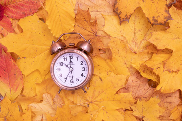 istock Autumn fall leaves and alarm clock. Autumn time concept 1342964710
