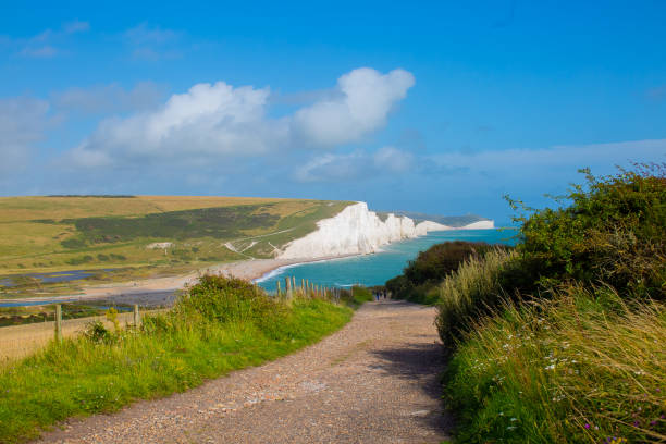 istock The South Downs Way at Beachy Head, on the Seven Sisters cliffs 1342978679