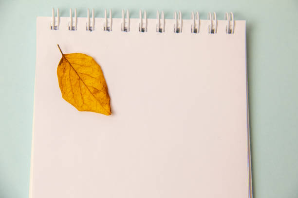 istock Notepad and autumn leaves on a blue background. View from above. copy space. layout, place for text 1342980302