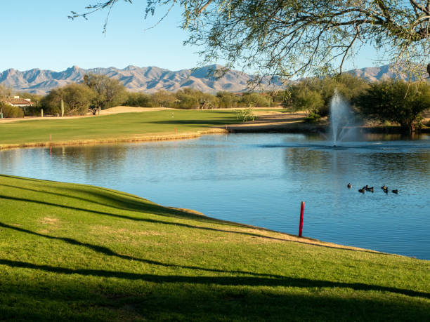 istock Golf surrounded by mountain in Tucson Arizona 1342980398