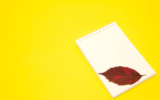 istock Autumn workplace with a notebook,autumn leaves on a bright yellow background 1342981590