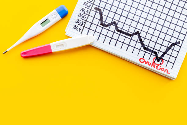 istock Thermometer and ovulation test on basal temperature chart. Predicting fertility 1342985924
