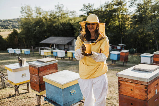 두드러기 확인 - apiculture 뉴스 사진 이미지