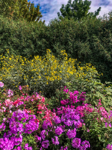 istock Layers of colorful plants 1342987131