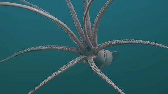 Deep Sea Giant Squid, 3D Rendered