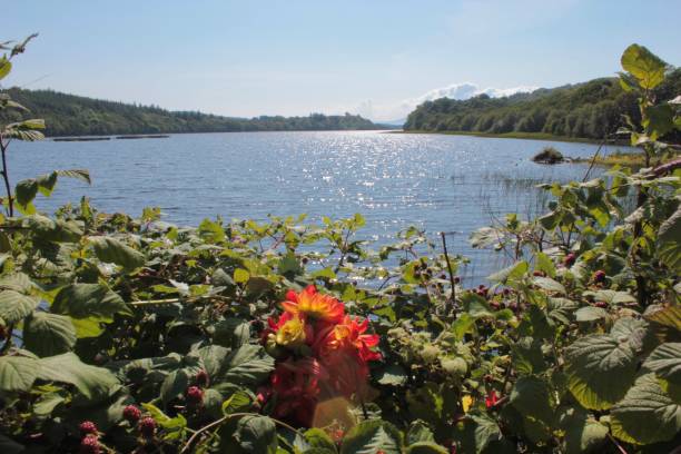 istock Loch Fad, Bute 1342998306