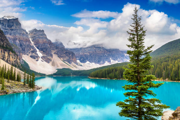 istock Lake Moraine, Banff National Park 1342999258