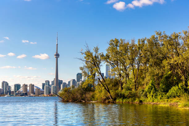 istock Toronto skyline in a sunny day 1342999328