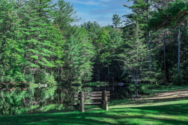 istock september afternoon by the pond 1343001116