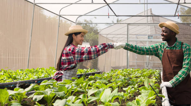 istock Gardeners happily working inside the nursery. 1343022280