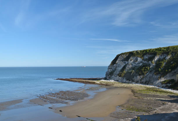 istock Whitecliff Bay Coastline, England 1343022381