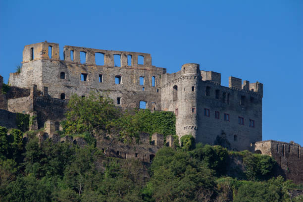 rheinfels castle on the rhine river - rheinfels imagens e fotografias de stock