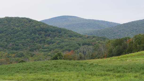 istock Berkshires in the early fall 1343023755