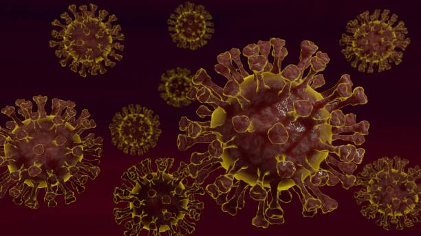 istock Dispersed corona viruses Brazil Variant 1343029818