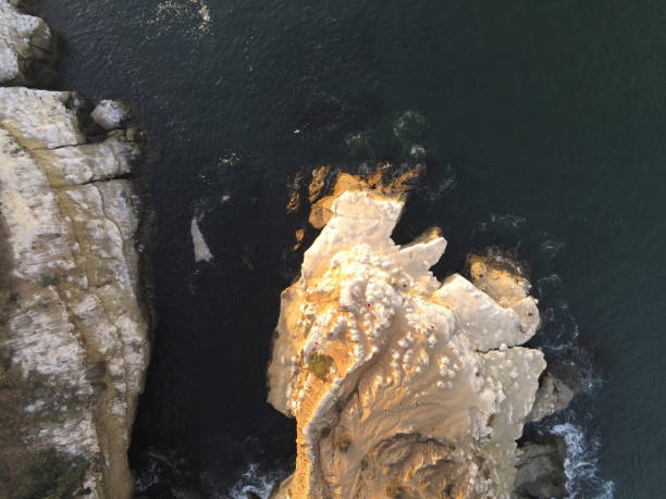 istock Overhead Drone view of La Jolla Coast and streets 1343030779