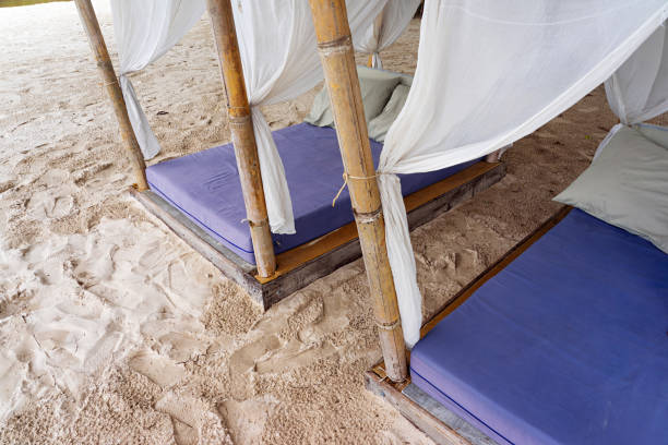Empty violet beach beds with white curtains on the sand beach.
