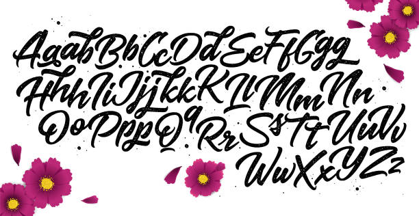 kalligraphie dekoratives abc-alphabet - handwriting stock-grafiken, -clipart, -cartoons und -symbole