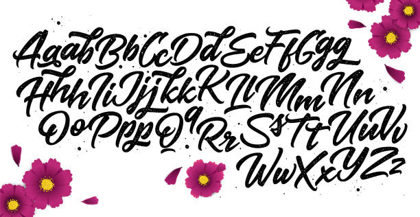 ilustraciones, imágenes clip art, dibujos animados e iconos de stock de caligrafía decorativa alfabeto abc - calligraphic style